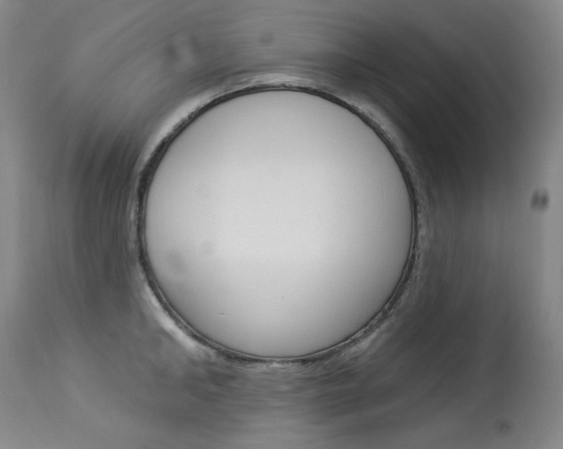 X0000114130902200910080959
