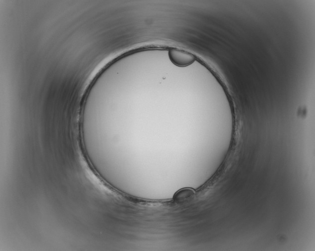 X0000114130903200910080959
