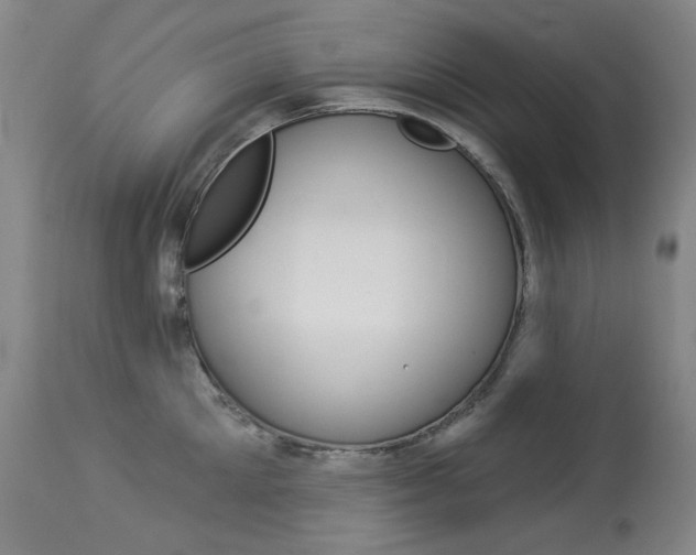 X0000114130905200910080959