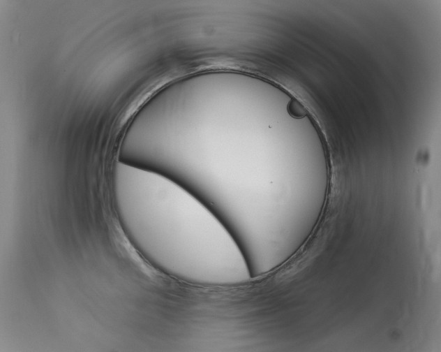 X0000114130906200910080959