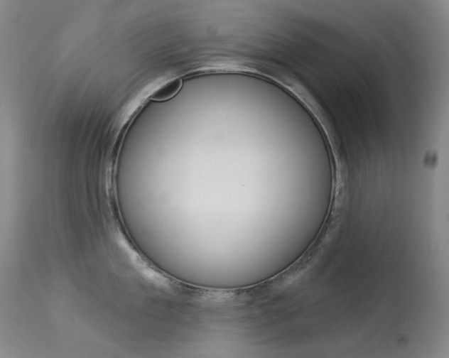 X0000114130909200910080959