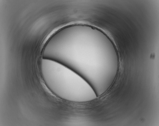 X0000114130911200910080959