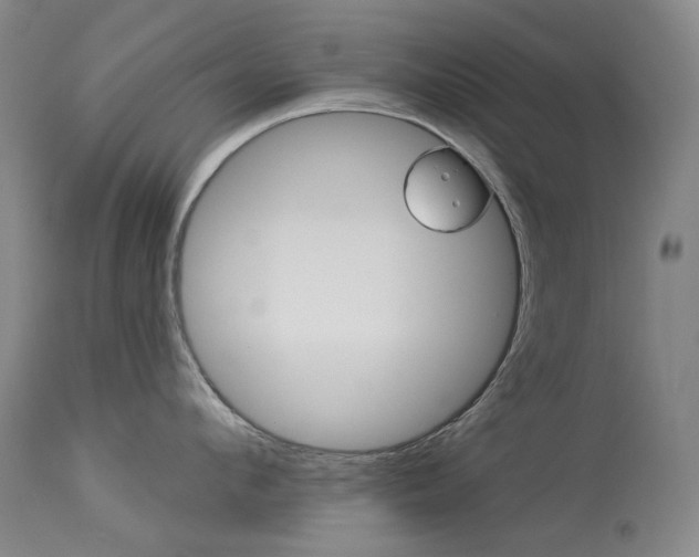 X0000114130912200910080959