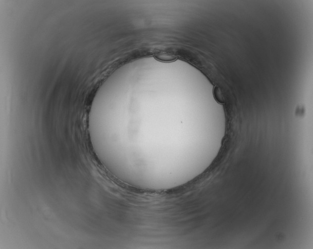 X0000114130914200910080958