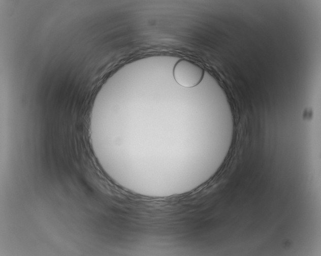 X0000114130916200910080958