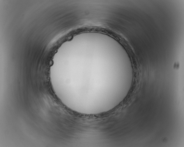 X0000114130919200910080958