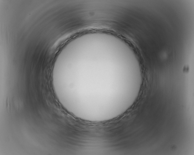 X0000114130920200910080958