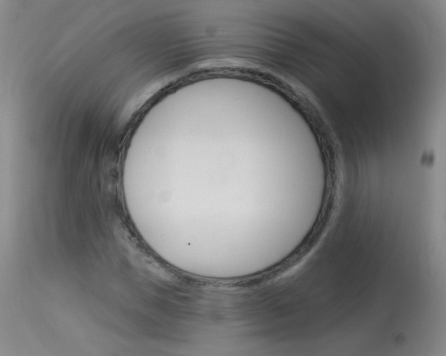 X0000114130921200910080958