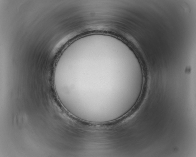 X0000114130922200910080958