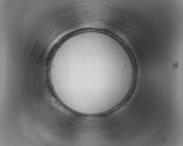 X0000114130923200910080958