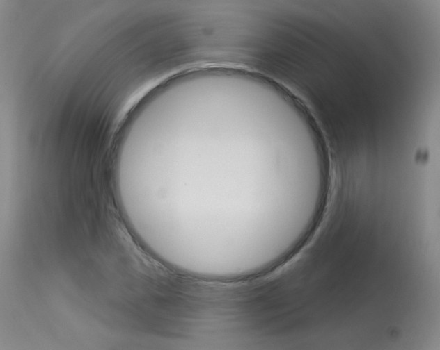 X0000114130925200910080958