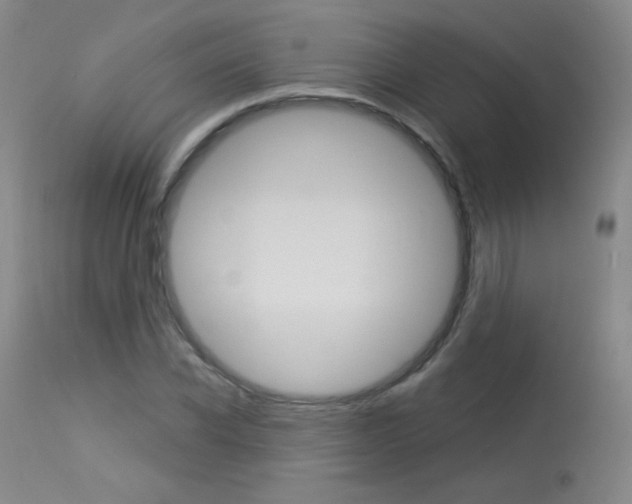 X0000114130926200910080958