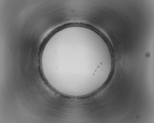 X0000114130927200910080958