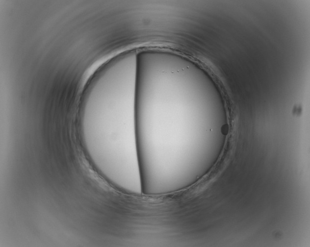 X0000114130928200910080958