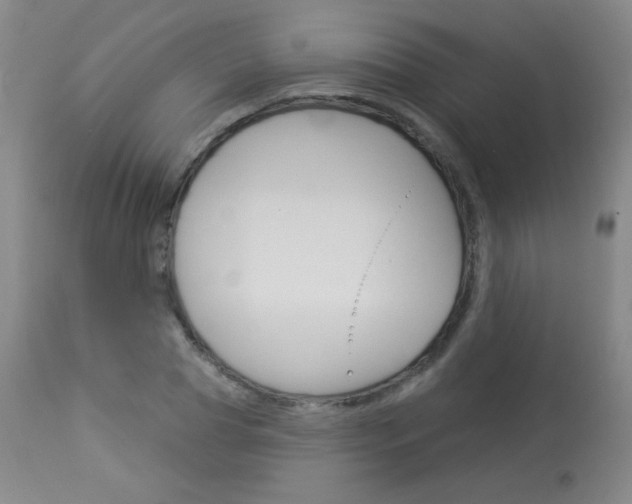 X0000114130929200910080958
