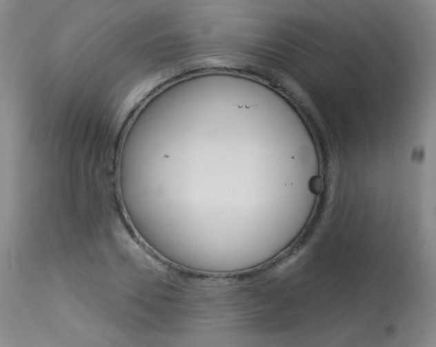 X0000114130930200910080958