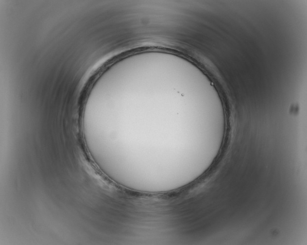 X0000114130931200910080958