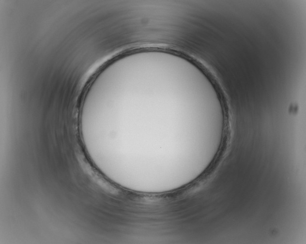 X0000114130933200910080958