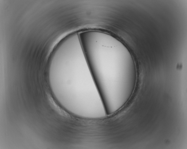 X0000114130934200910080958