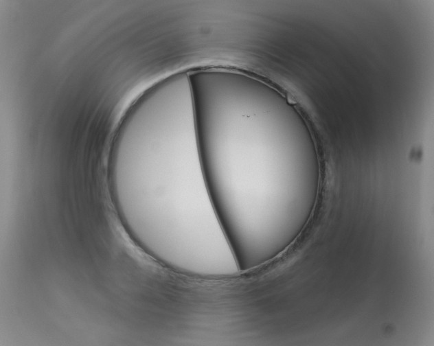 X0000114130936200910080959