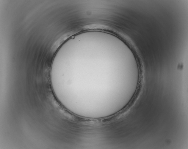 X0000114130937200910080959