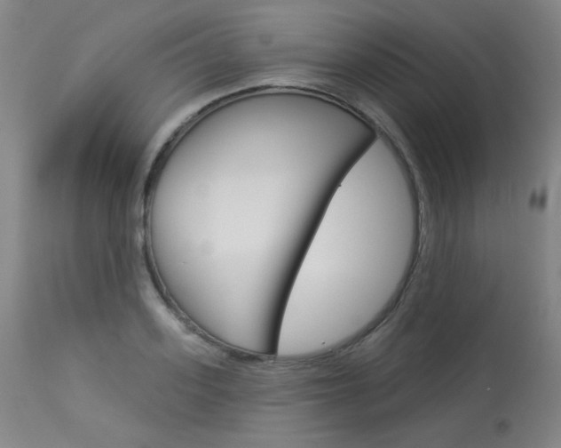 X0000114130939200910080959