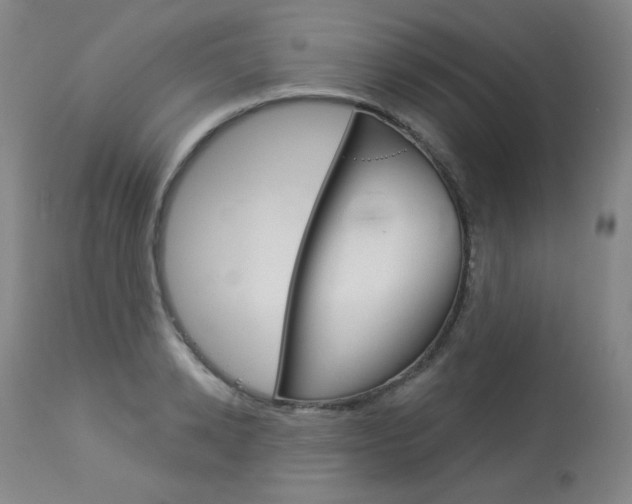 X0000114130942200910080959