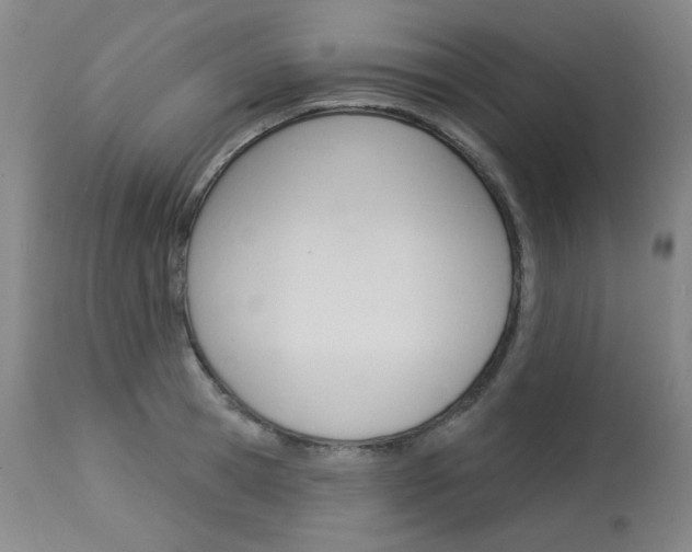X0000114130945200910080959