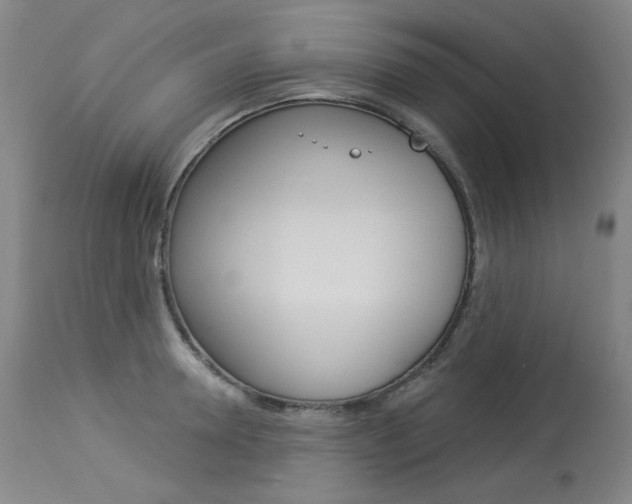 X0000114130946200910080959