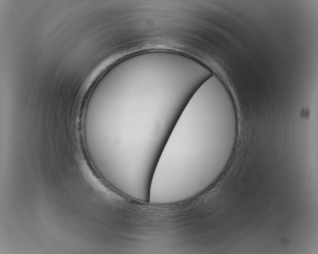 X0000114130947200910080959