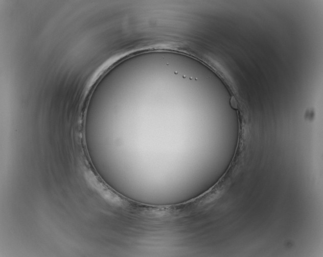 X0000114130948200910080959