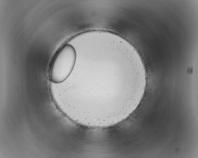 X0000114130950200910080959