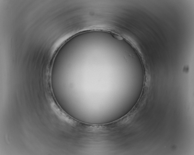 X0000114130952200910080959