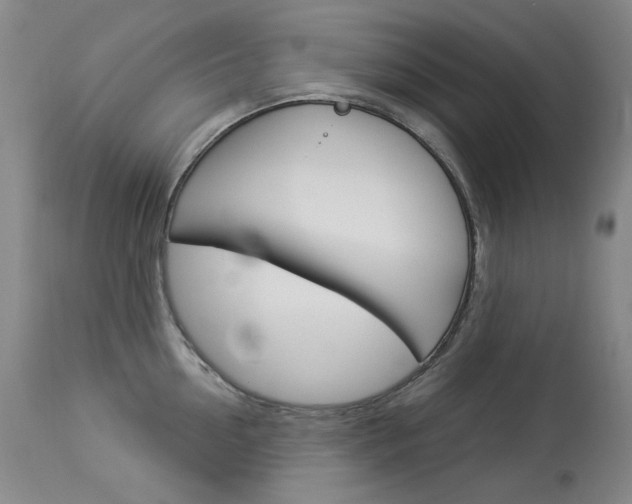 X0000114130954200910080959