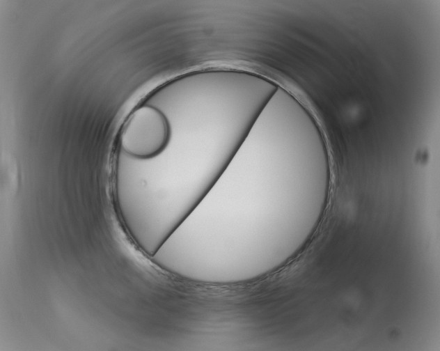 X0000114130955200910080959