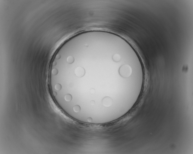 X0000114130957200910080959