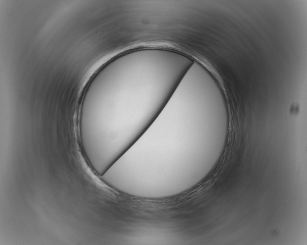 X0000114130959200910080959