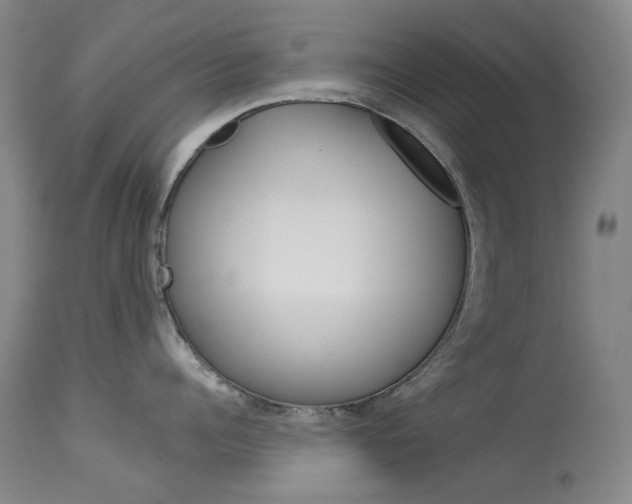 X0000114130960200910080959