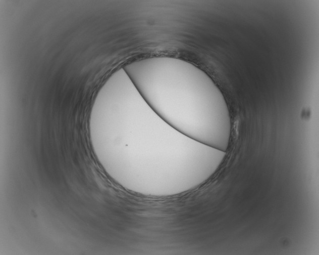 X0000114130963200910080958