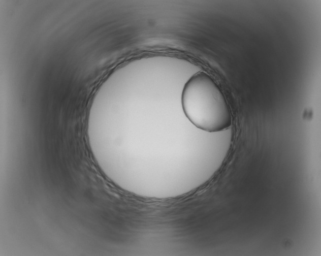 X0000114130965200910080958