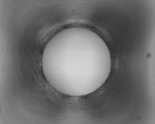X0000114130966200910080958