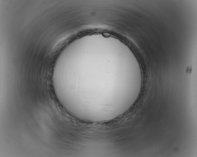 X0000114130967200910080958