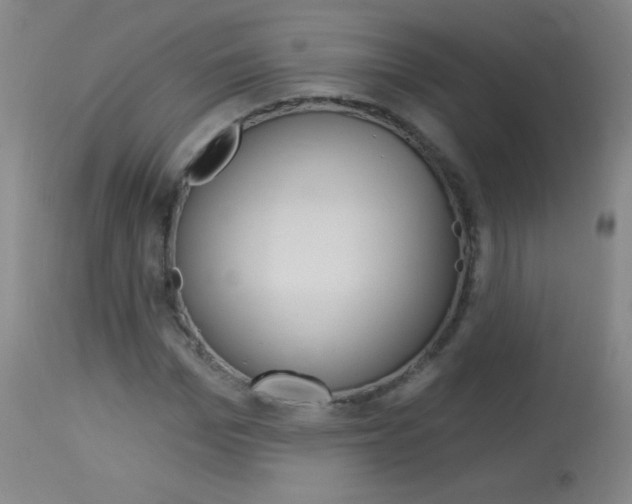 X0000114130969200910080958