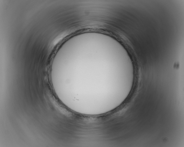 X0000114130970200910080958