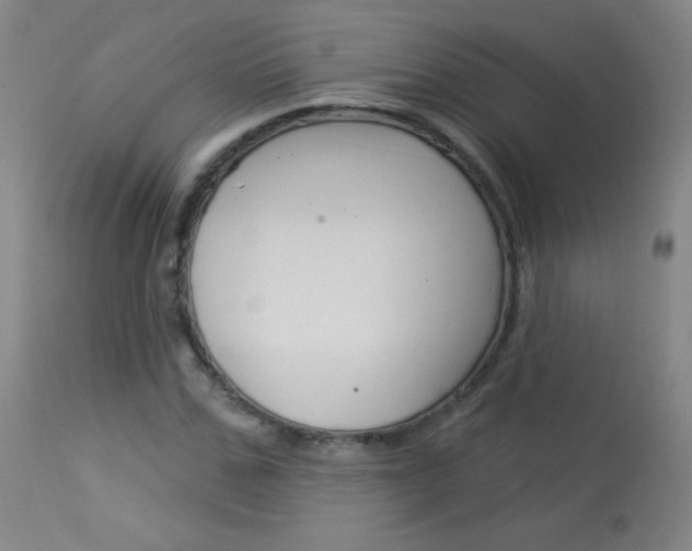 X0000114130971200910080958