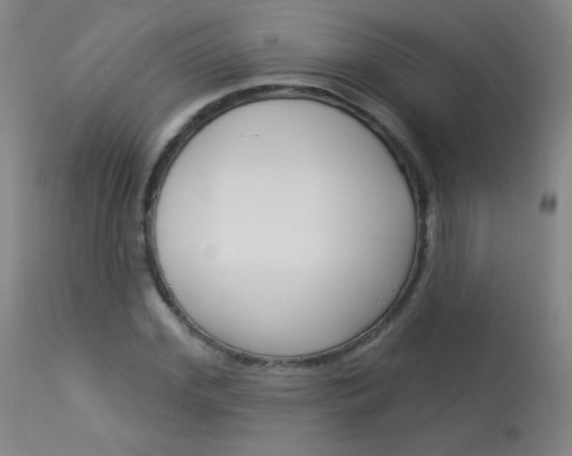 X0000114130972200910080958