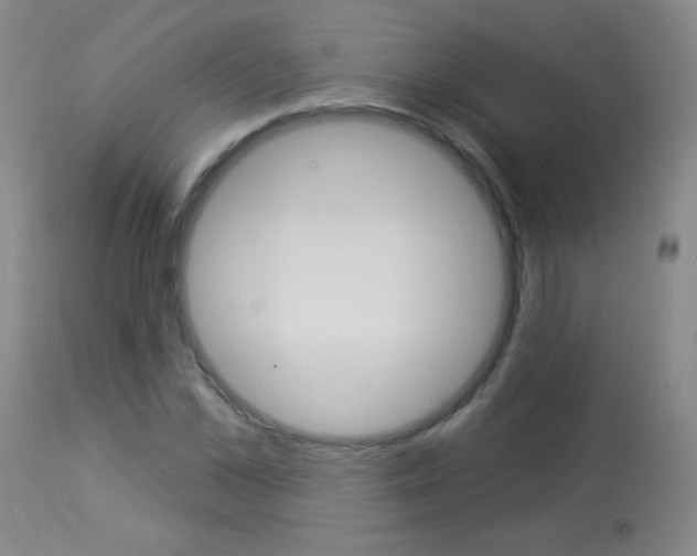 X0000114130973200910080958