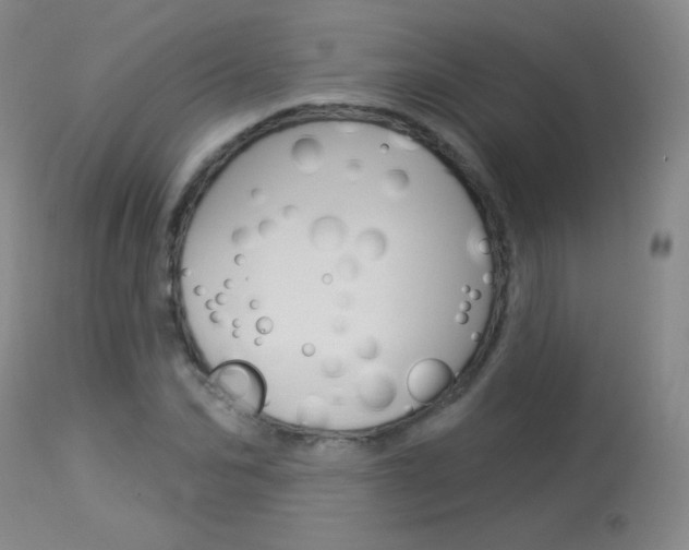 X0000114130974200910080958