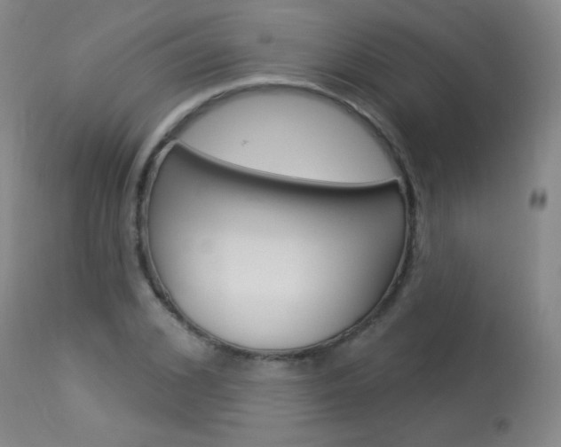 X0000114130976200910080958