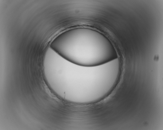 X0000114130977200910080958